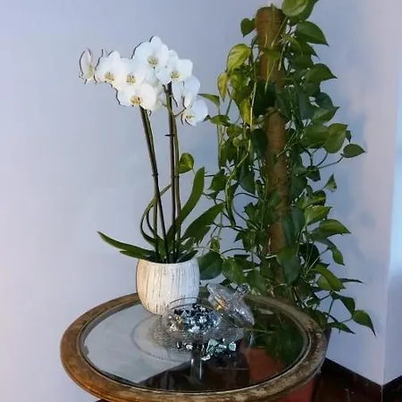 招待所 Ambra Casale Corte Cerro