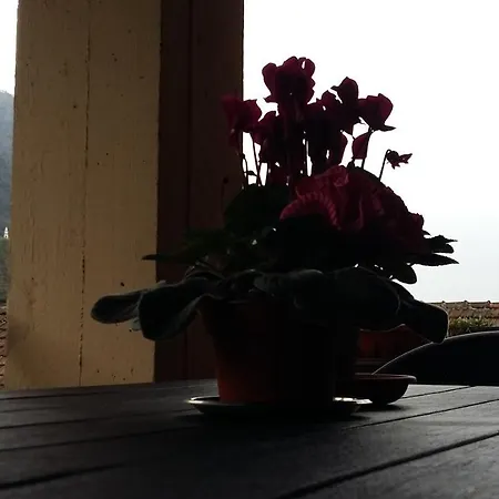 Ambra Casale Corte Cerro